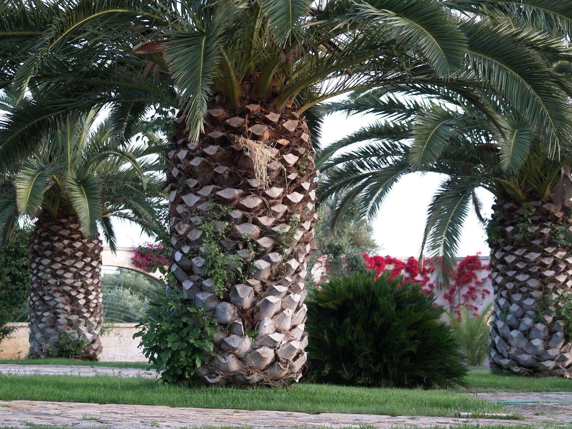 Masseria Tutosa 4* Ostuni